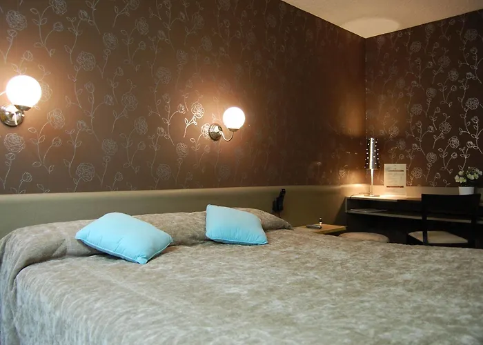 Hotel Logis Du Midi - Etienne Sud